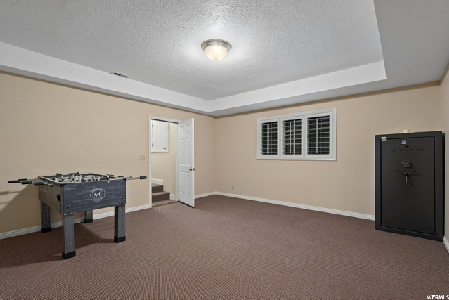 Basement Rec Room