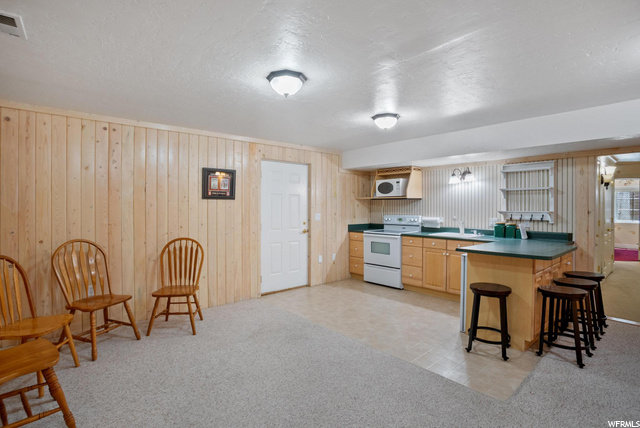 DownstairsKitchen 2