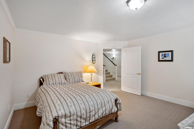 Downstairs bedroom 2