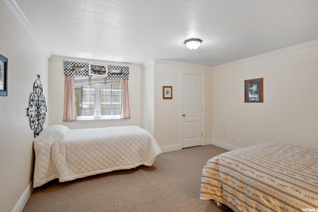 Downstairs bedroom 2