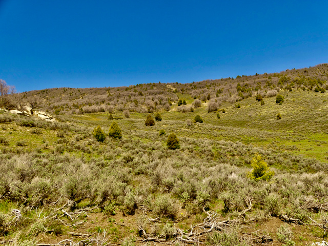#3, Midway, UT 84049 — photo 4