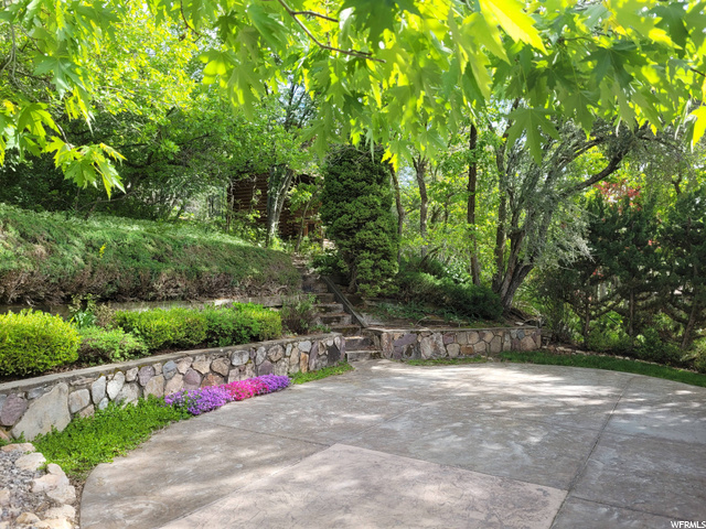 beautiful yard
