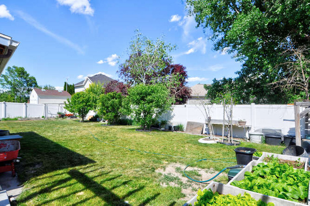 backyard with vegetable garden