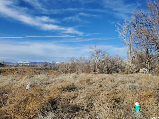2261 E 1800 S #49, Naples, UT 84078 — photo 6