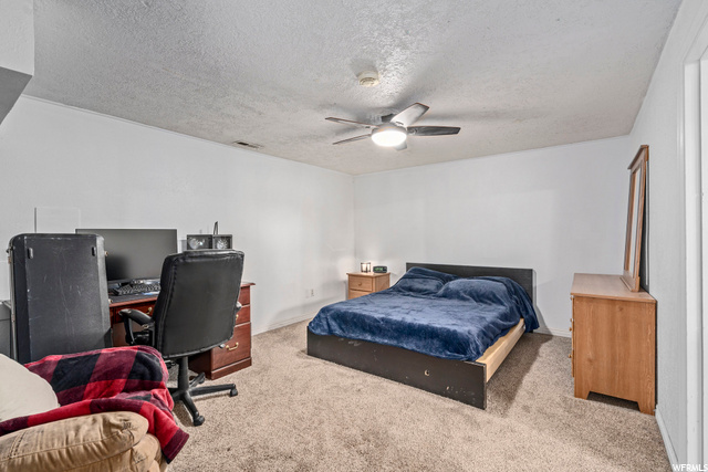 Basement Family Room