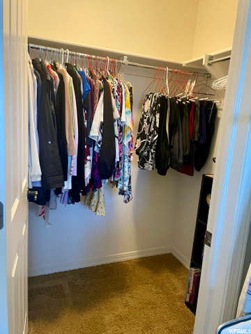 Walk in Closet Guest Bedroom