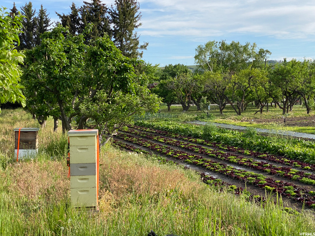 2090 E 6550 S, Uintah, UT 84405 — photo 10