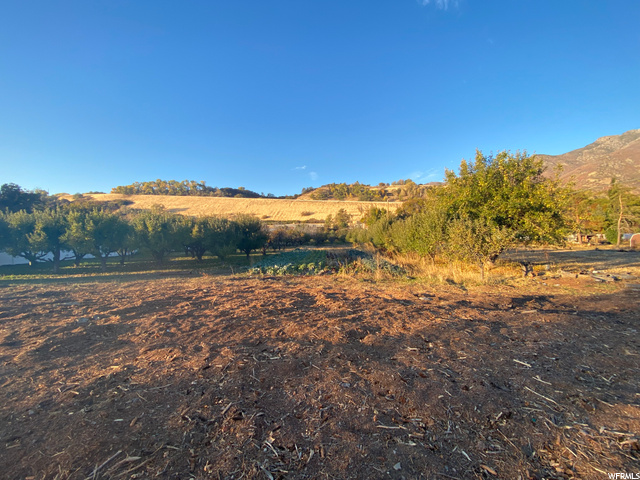 2090 E 6550 S, Uintah, UT 84405 — photo 3