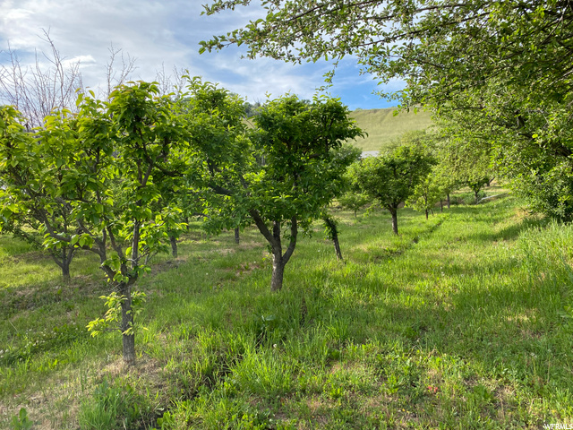 2090 E 6550 S, Uintah, UT 84405 — photo 6