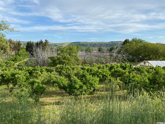 2090 E 6550 S, Uintah, UT 84405 — photo 5
