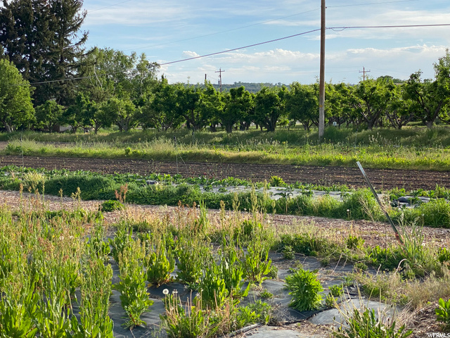 2090 E 6550 S, Uintah, UT 84405 — photo 7