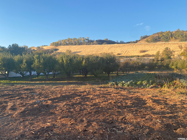 2090 E 6550 S, Uintah, UT 84405 — photo 2