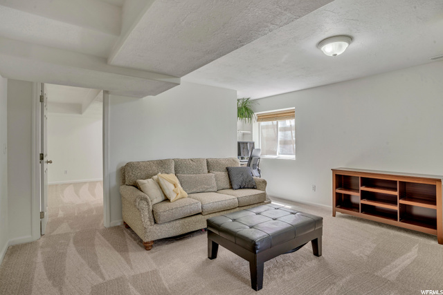 Downstairs Living Room