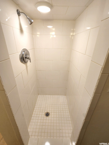 Downstairs bathroom shower