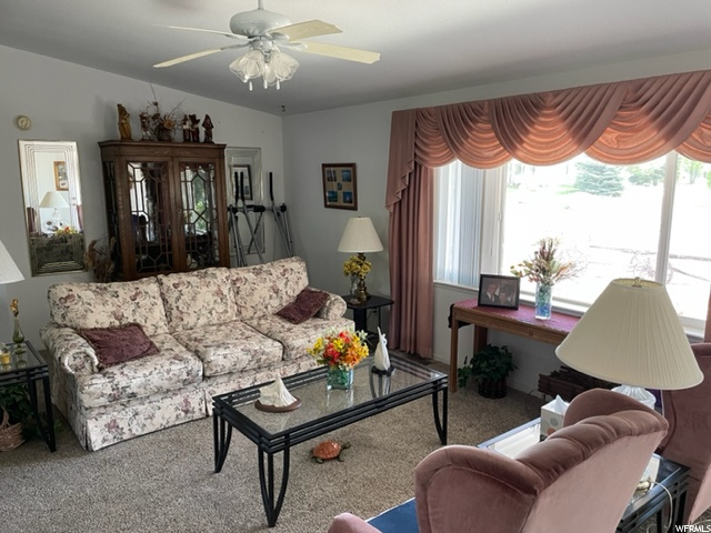 685 E 100 S, Mt Pleasant, UT 84647 — photo 10