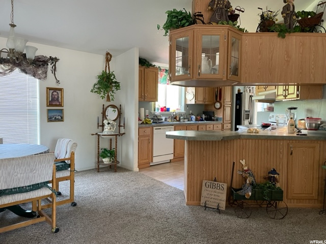 685 E 100 S, Mt Pleasant, UT 84647 — photo 11