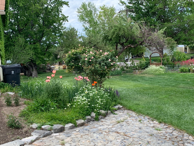 garden