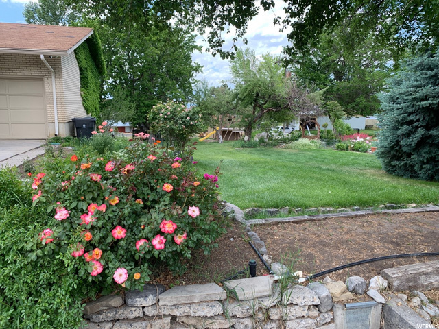 garden