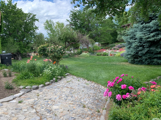 garden