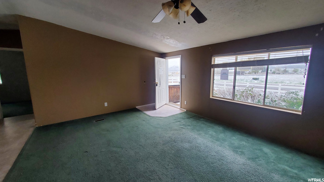 1521 E Manila E, Manila, UT 84046 — photo 11