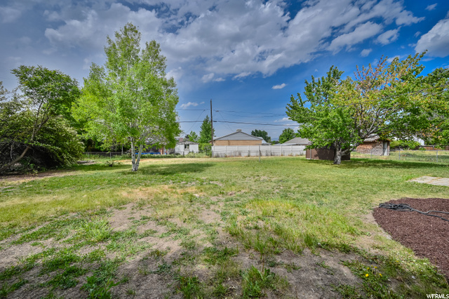 Back yard