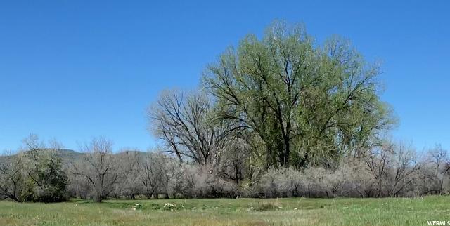 #2, Preston, ID 83263 — photo 3