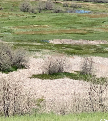#2, Preston, ID 83263 — photo 4