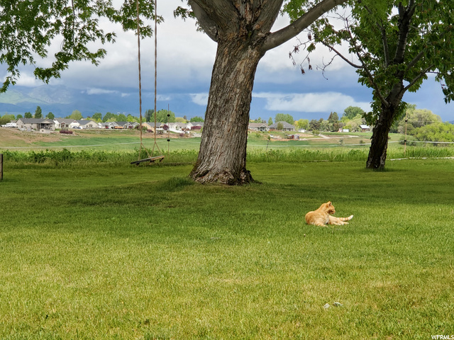 861 S 1150 E, Preston, ID 83263 — photo 4
