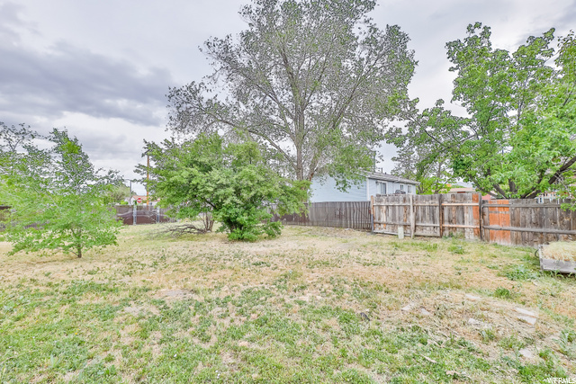 back yard