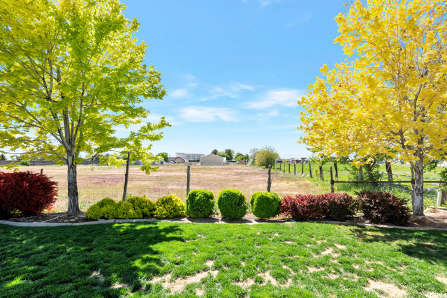 private back yard open field view