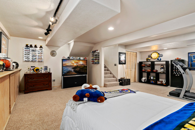 Basement Bedroom