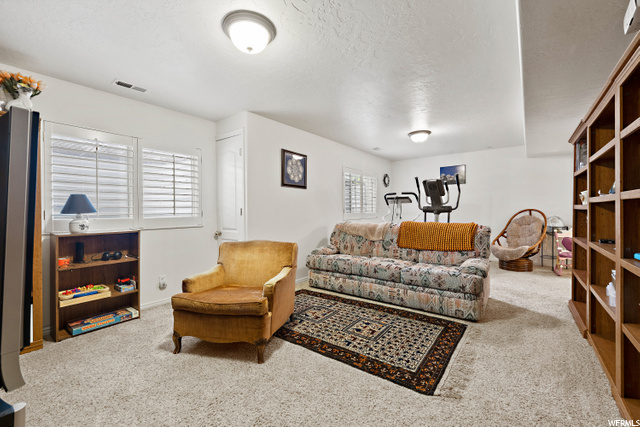 Large Family Room In Basement