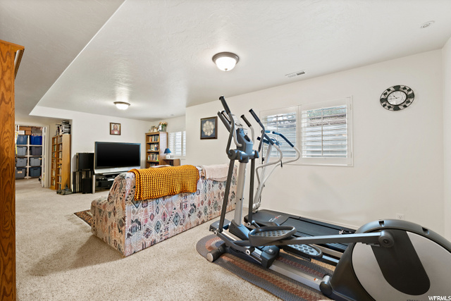 Large Family Room In Basement