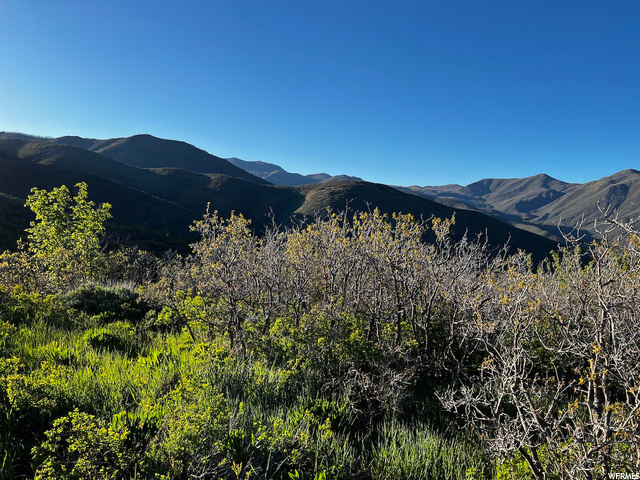 63 Switzer Dr #63, Midway, UT 84049 — photo 8