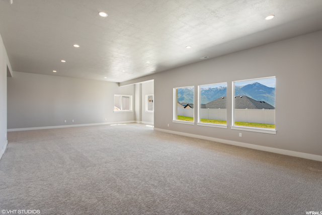 Lower Family Room
