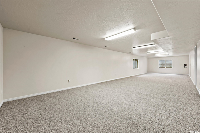 Basement Living Area