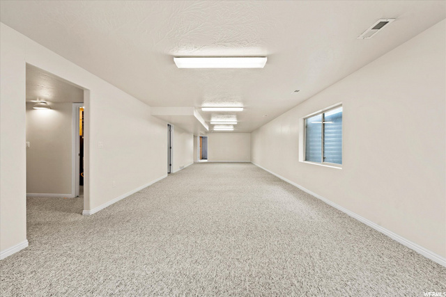 Basement Living Area