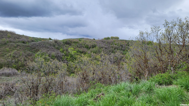 #51, Huntsville, UT 84317 — photo 10