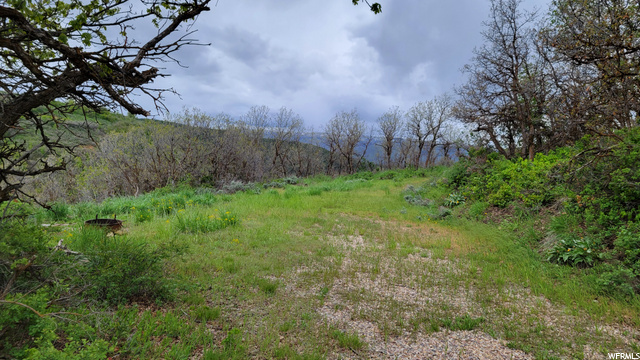 #51, Huntsville, UT 84317 — photo 12
