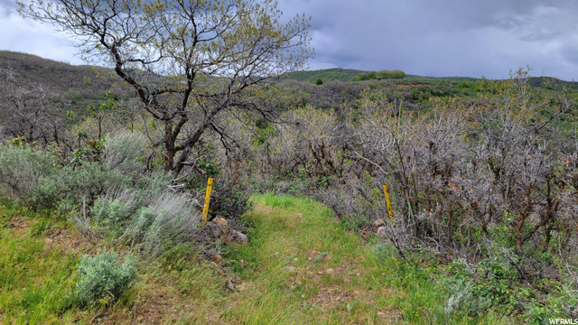 #51, Huntsville, UT 84317 — photo 4