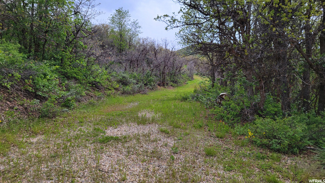 #51, Huntsville, UT 84317 — photo 11