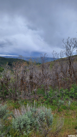 #51, Huntsville, UT 84317 — photo 6