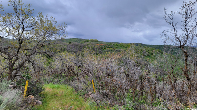 #51, Huntsville, UT 84317 — photo 5