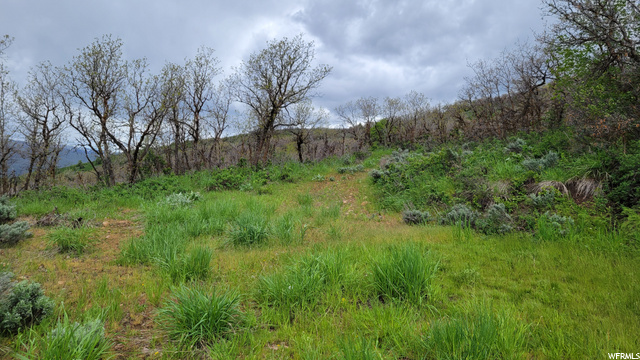 #51, Huntsville, UT 84317 — photo 7