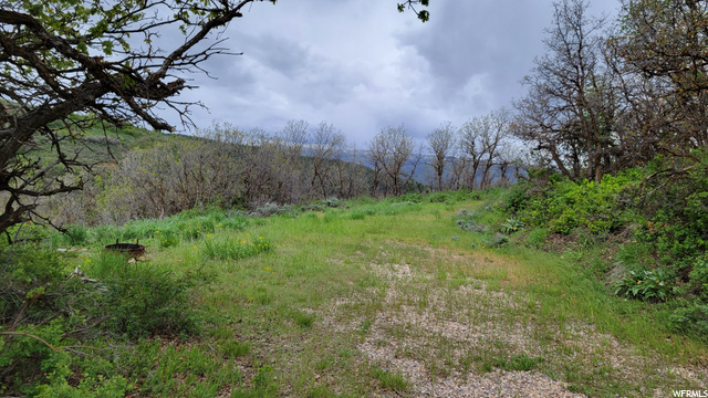 #51, Huntsville, UT 84317 — photo 2
