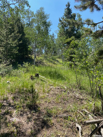 867 Forest Loop Crk #110, Coalville, UT 84017 — photo 6