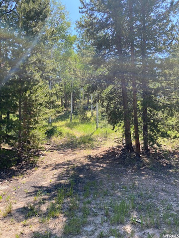 867 Forest Loop Crk #110, Coalville, UT 84017 — photo 7