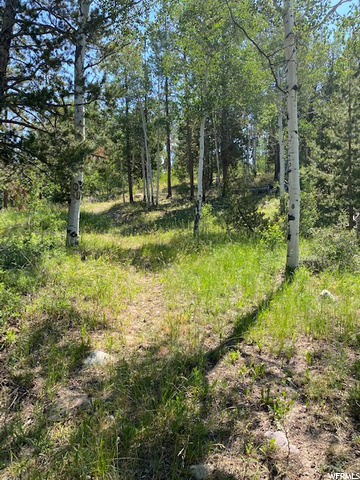 867 Forest Loop Crk #110, Coalville, UT 84017 — photo 5