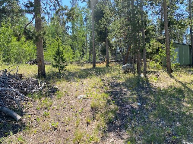 867 Forest Loop Crk #110, Coalville, UT 84017 — photo 4