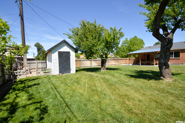 SHED & GARDEN